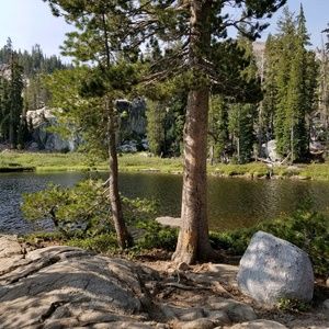 Meet your Posher, Shelley